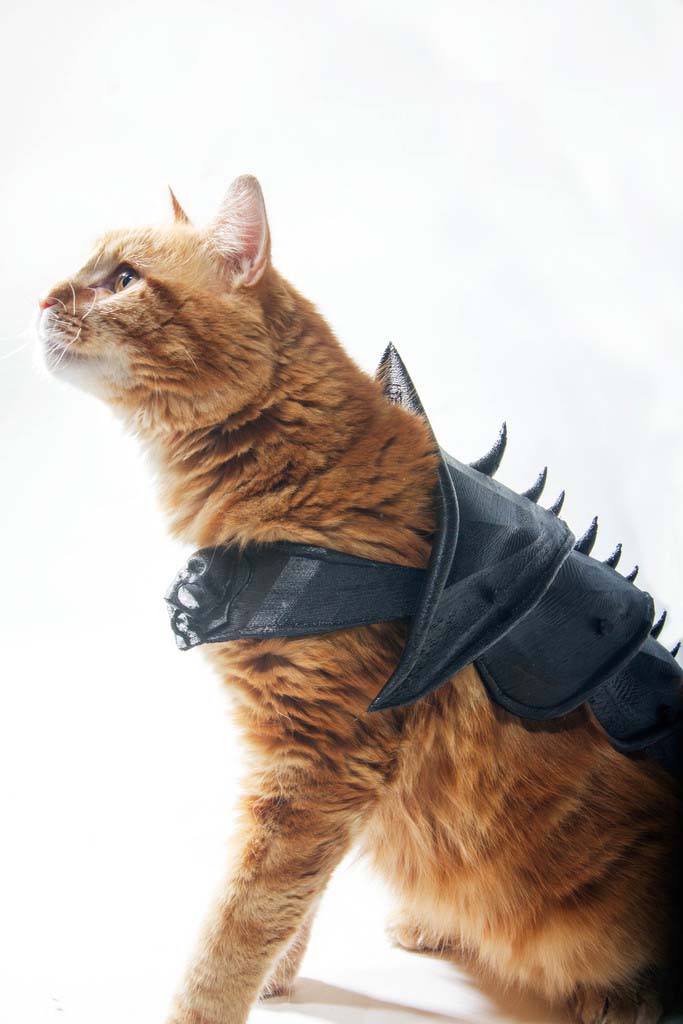 Armure Grand Maitre Chat Offrez une armure à votre chat grâce à une imprimante 3D