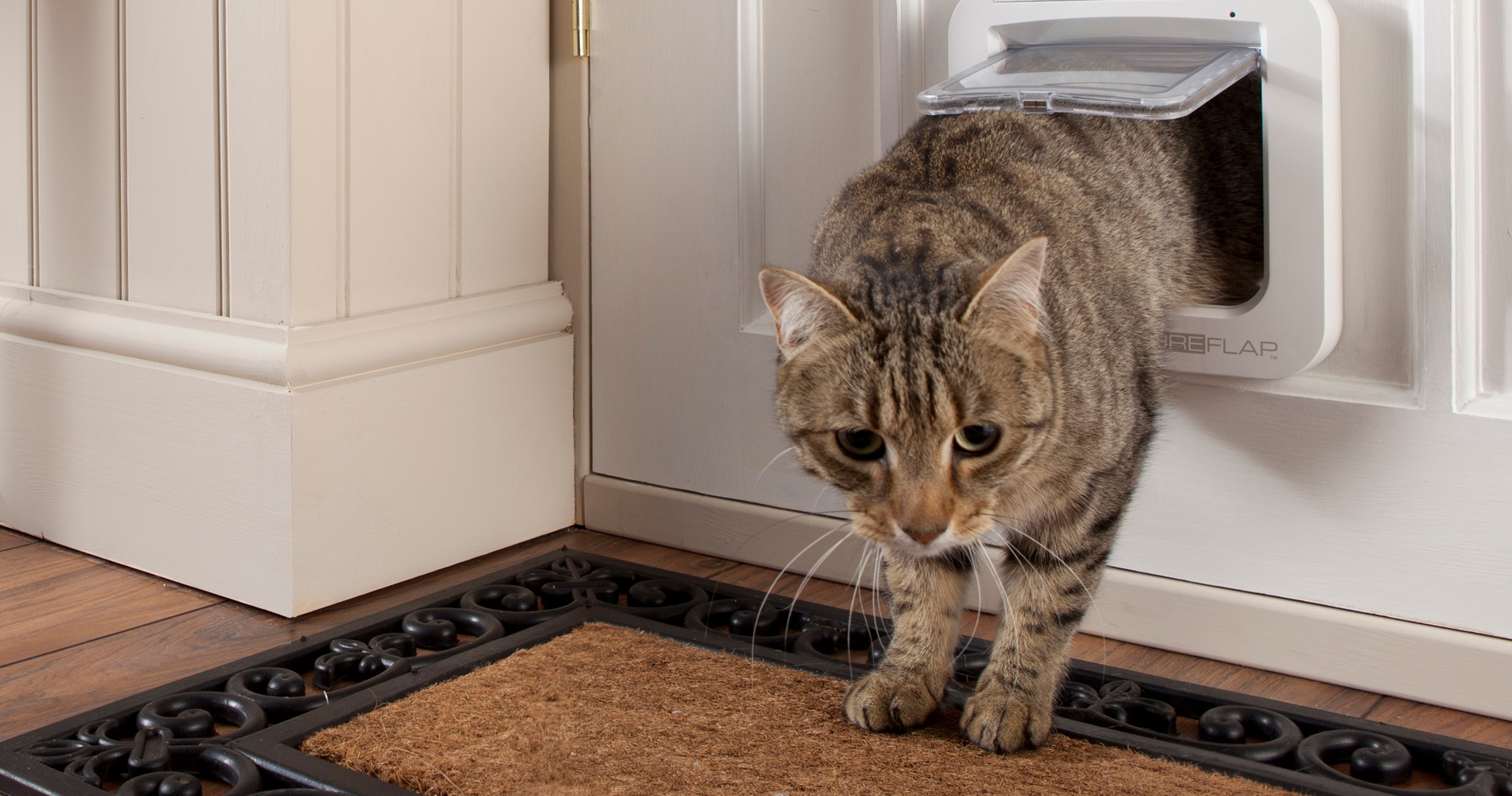 Une Chatiere Qui Reconnait Votre Chat Par Sa Puce D Identification Une Chatiere Qui Reconnait Votre Chat Par Sa Puce D Identification