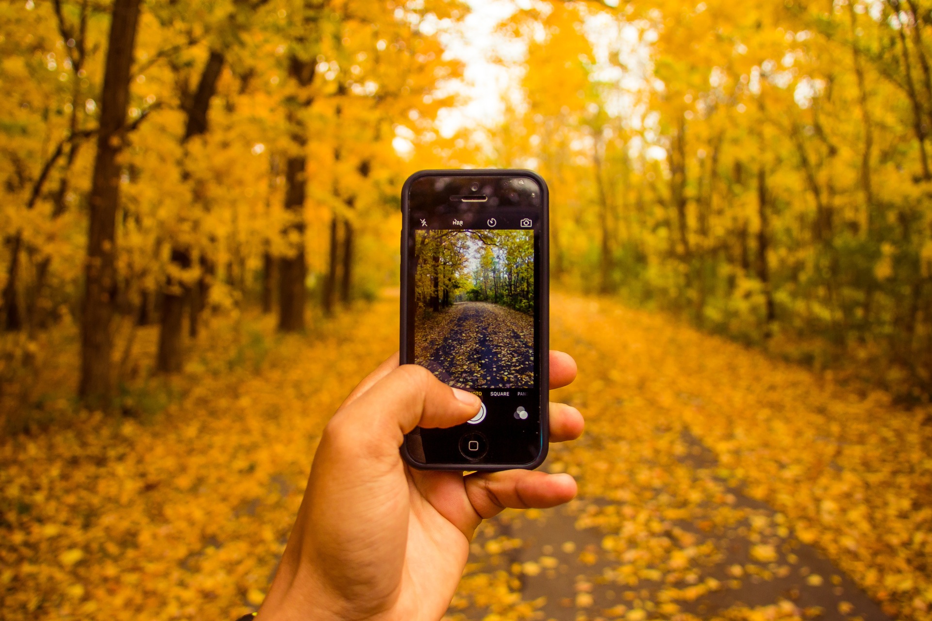 Les 3 fonctionnalités de Google Photos qui vous feront oublier Picasa