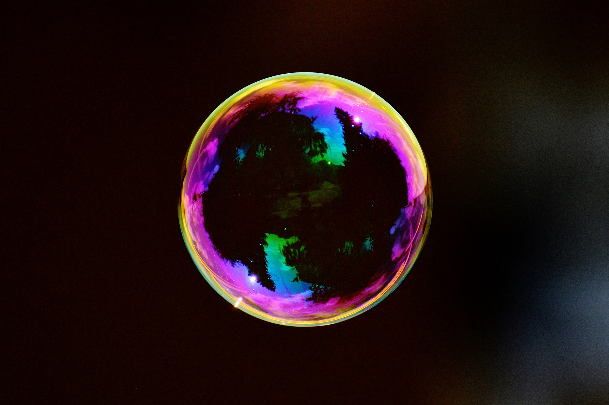 Pop Your Bubble, l'algorithme qui veut percer les bulles de