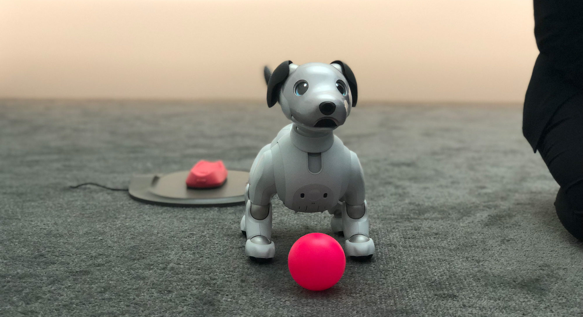 CES 2018] Sony remet sur le tapis son robot-chien Aibo et le