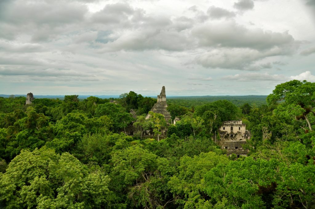 Photo des ruines de cités maya dans la jungle du Guatemala.