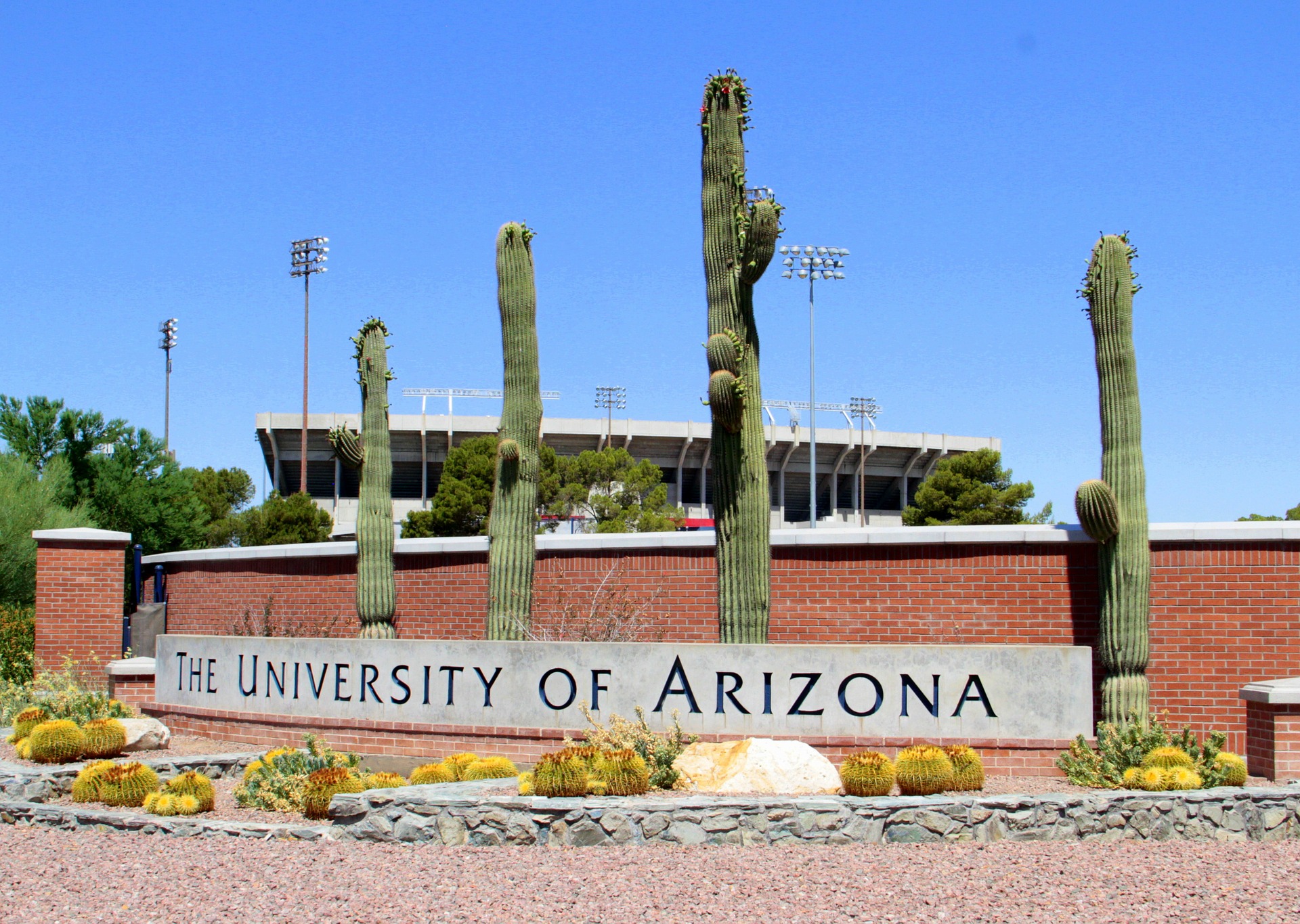 l-universit-de-l-arizona-value-les-capacit-s-de-ses-tudiants-en-les-suivant-la-trace-sur-le