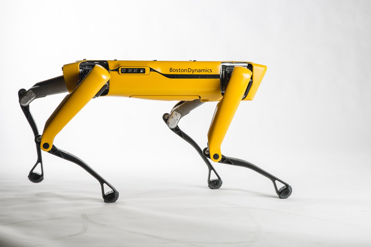 1 000 SpotMini pour 2019 : Boston Dynamics veut que vous adoptiez son chien  robot - Numerama