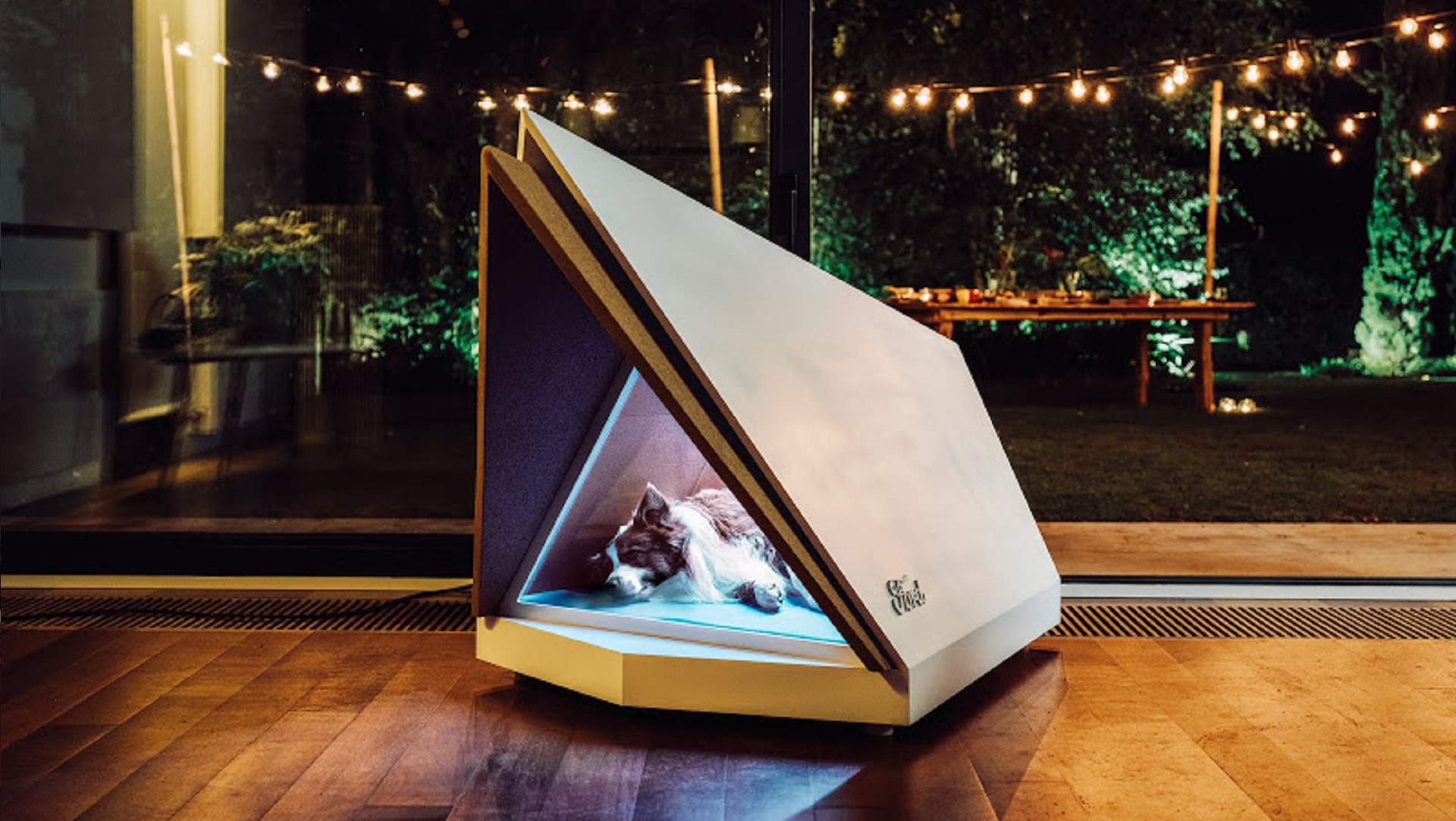 Chien Dans Un Casque Antibruit, Fond Isolé Jaune. Le Concept D'animaux De  Compagnie Ayant Peur Des Bruits Forts Ou Des Feux D'artifice Pendant Les  Vacances Banque D'Images et Photos Libres De Droits.