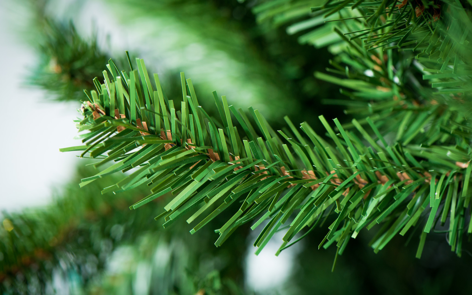 Vrai sapin de Noël ou sapin synthétique lequel est le plus écologique