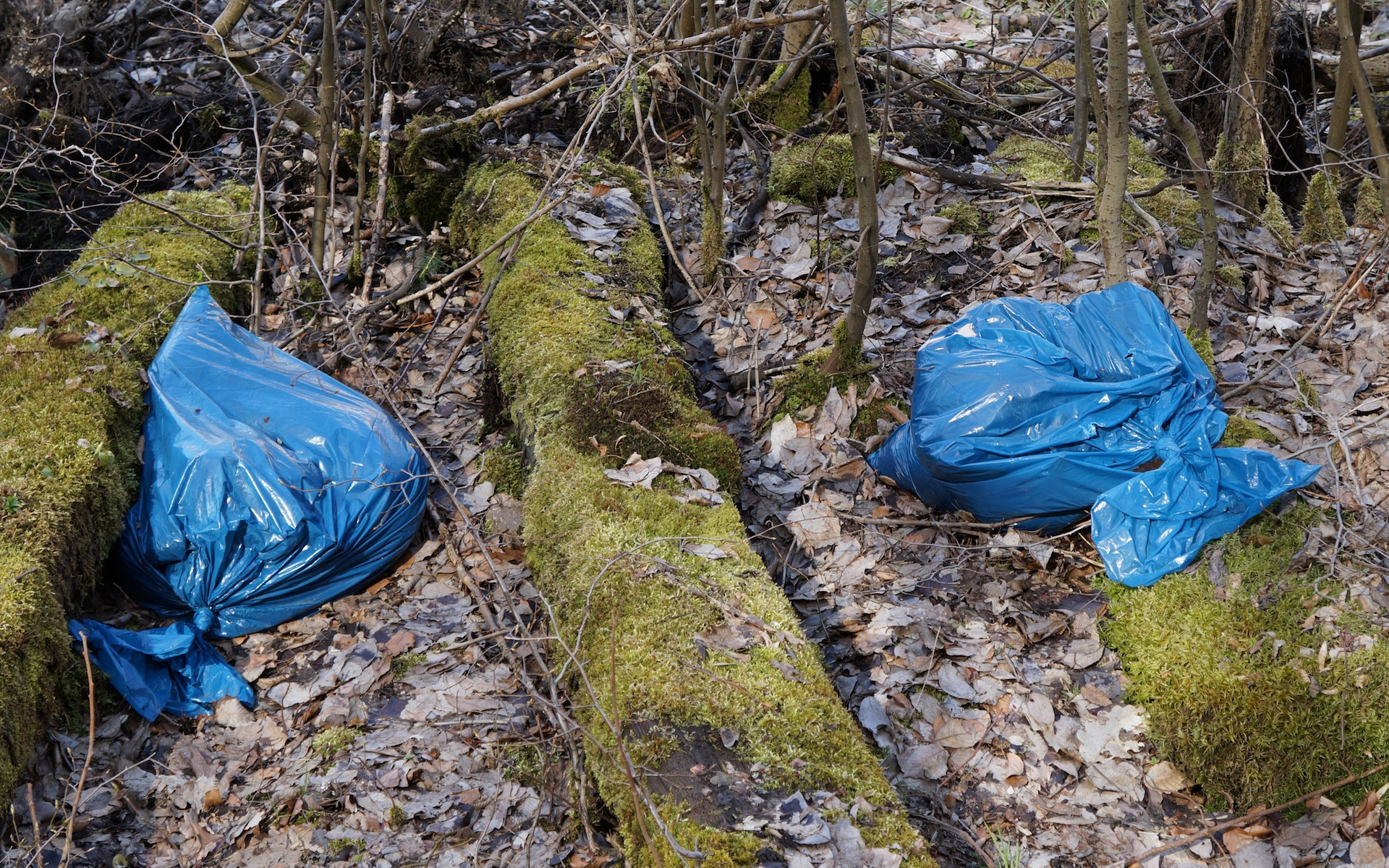 Les sacs plastiques biodégradables ne sont pas si dégradables que ça -  Numerama