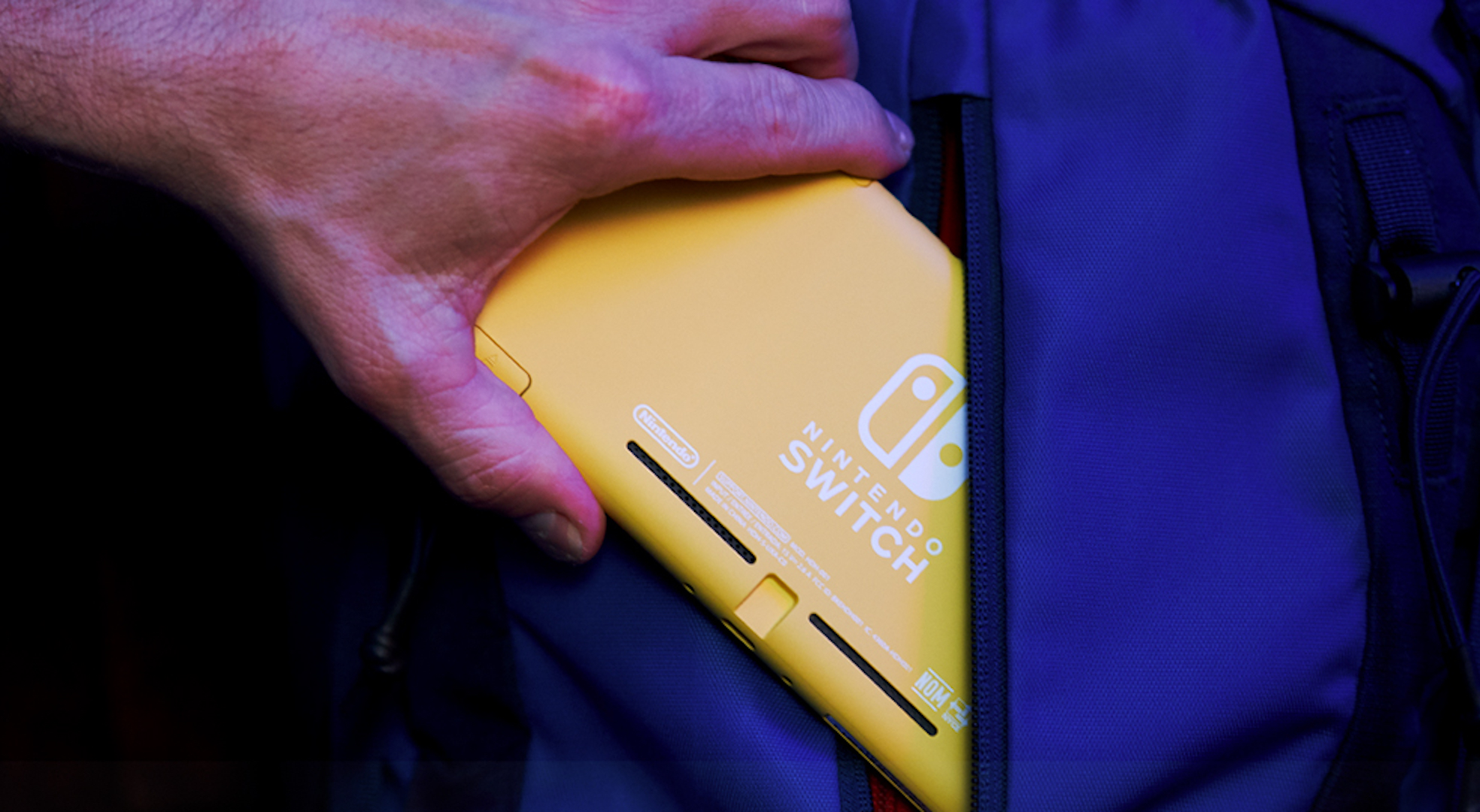 Nintendo diz que o Nintendo Switch Lite não substituirá o Nintendo 3DS -  NintendoBoy