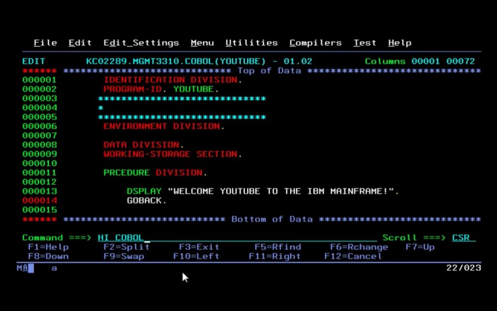 Au cœur de toutes les banques, le langage Cobol vatil manquer de