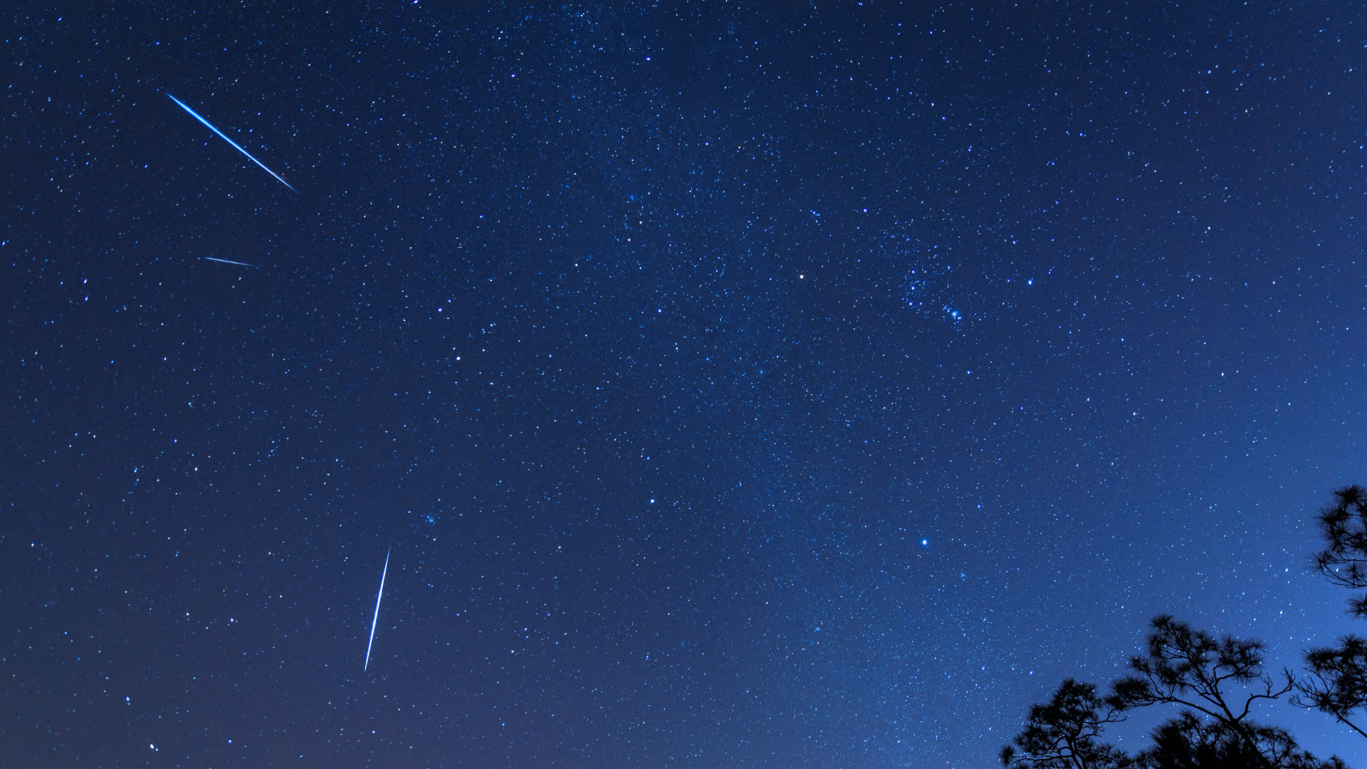 Comment observer la magnifique pluie d'étoiles filantes des ...