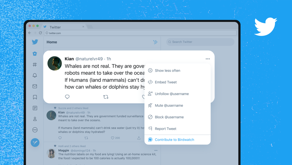 BirdWatch Twitter