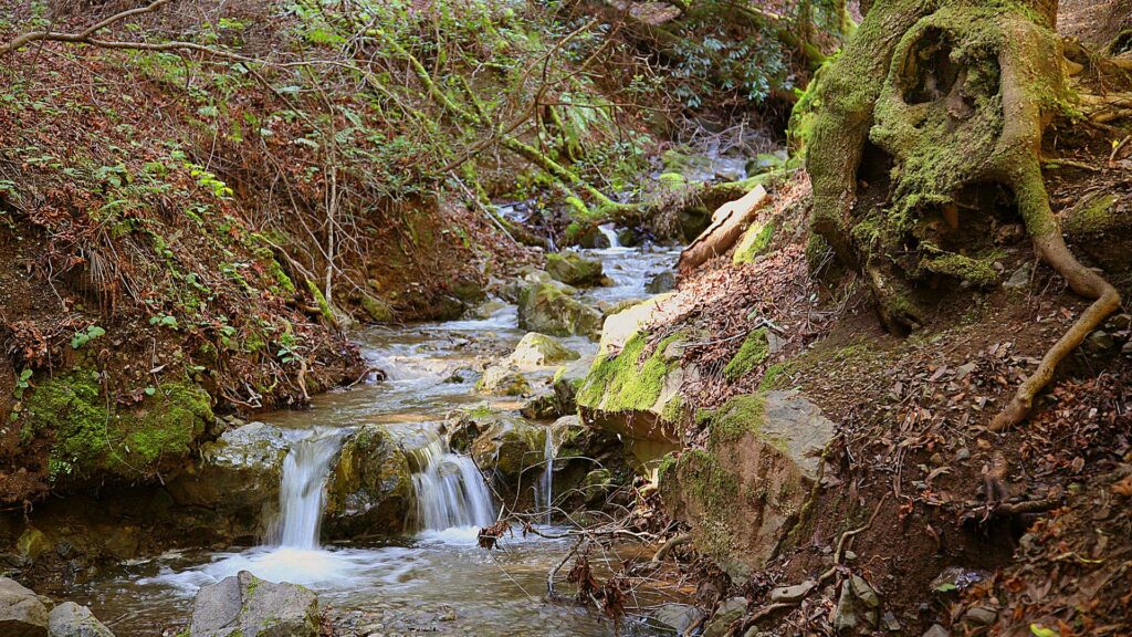 Adobe Creek