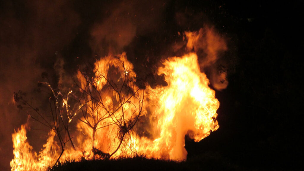 Incendie en forêt.