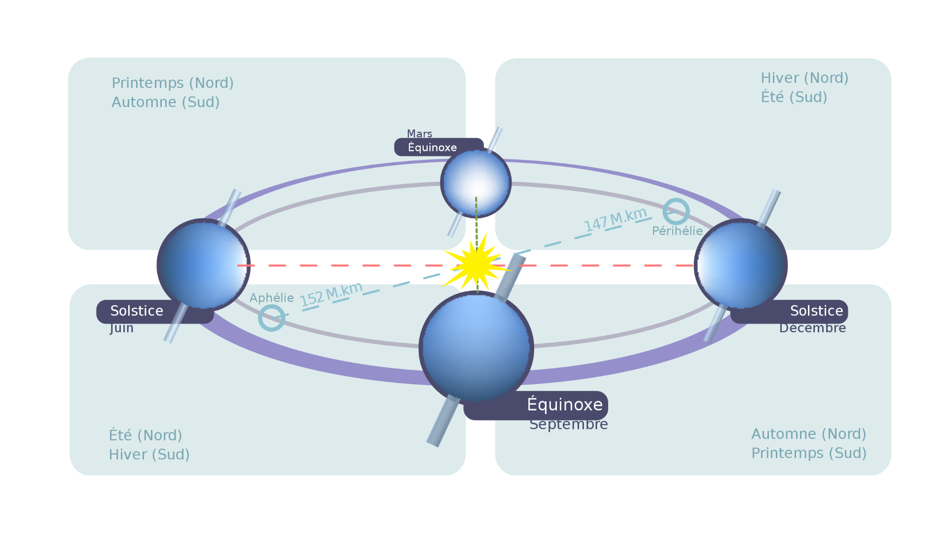 Comment l'attrape-soleil change avec les saisons ?