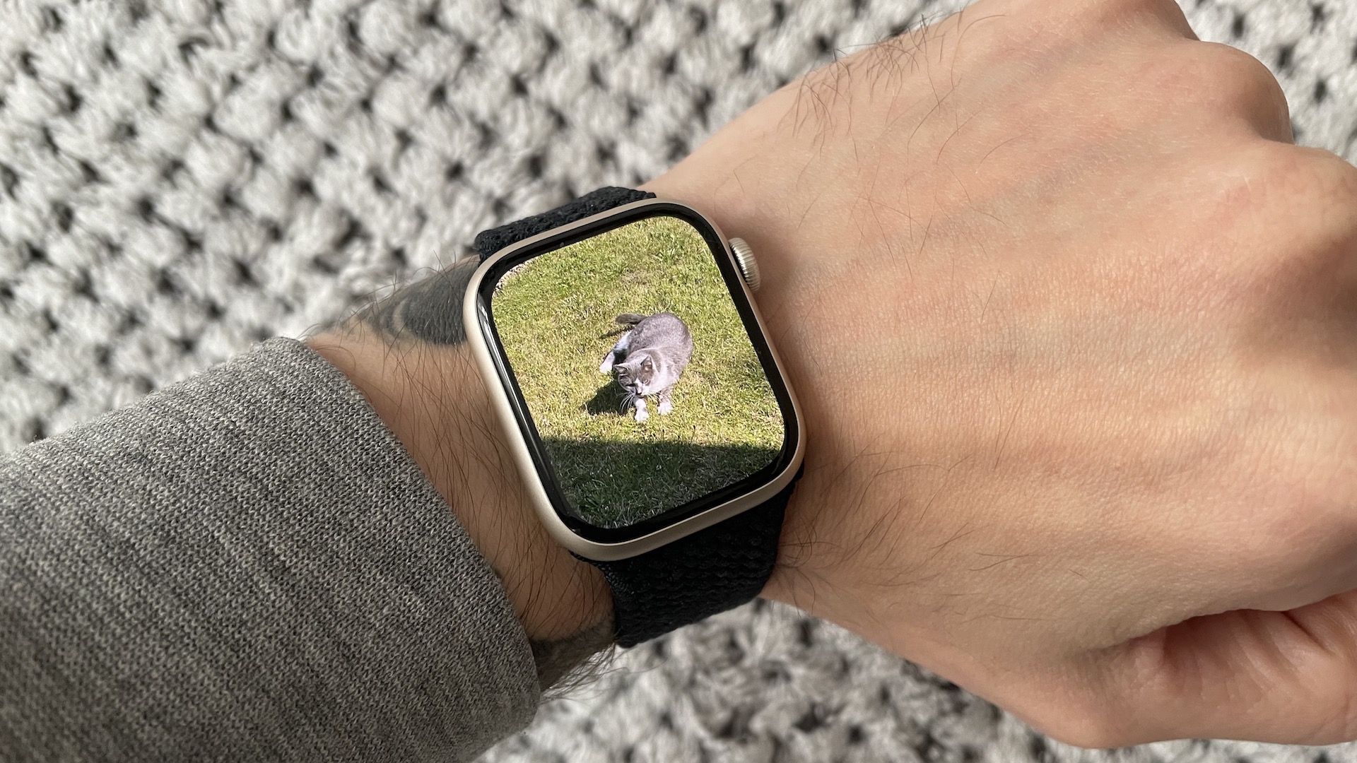 Apple Watch Series 7 : une version pour les petits poignets et à