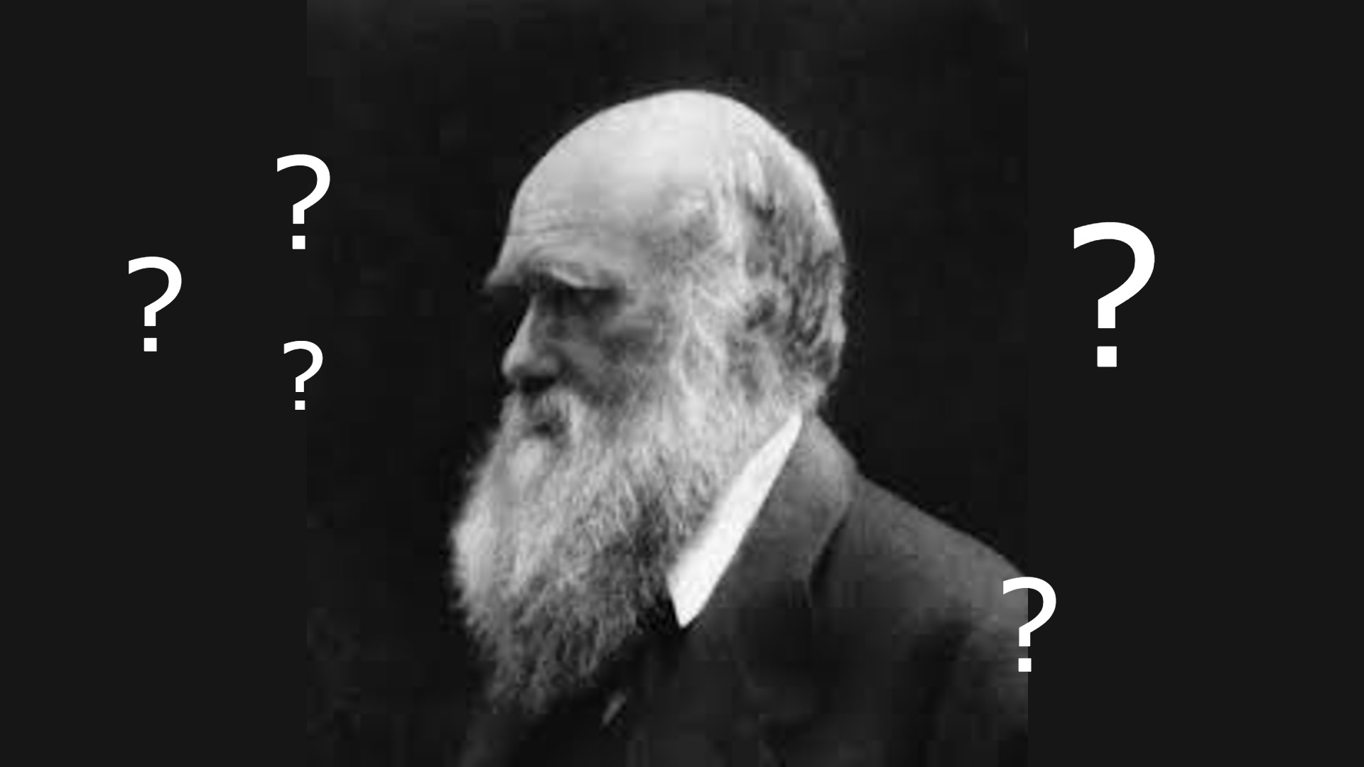 Quel le « mystère abominable » qu'évoquait Darwin et est-il résolu ?