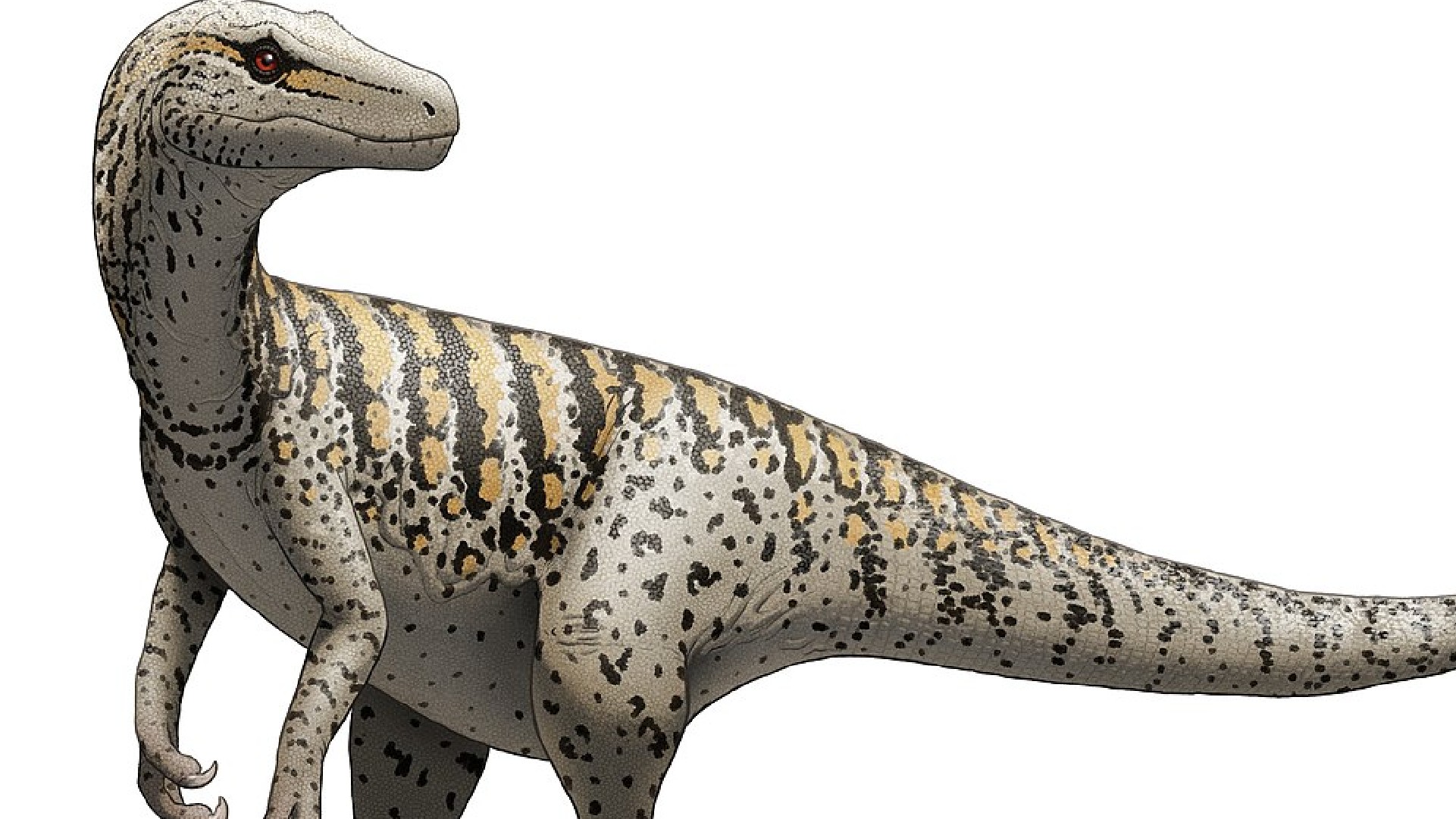 Top 10 des dinosaures les plus célèbres – Rex Le Dinosaure
