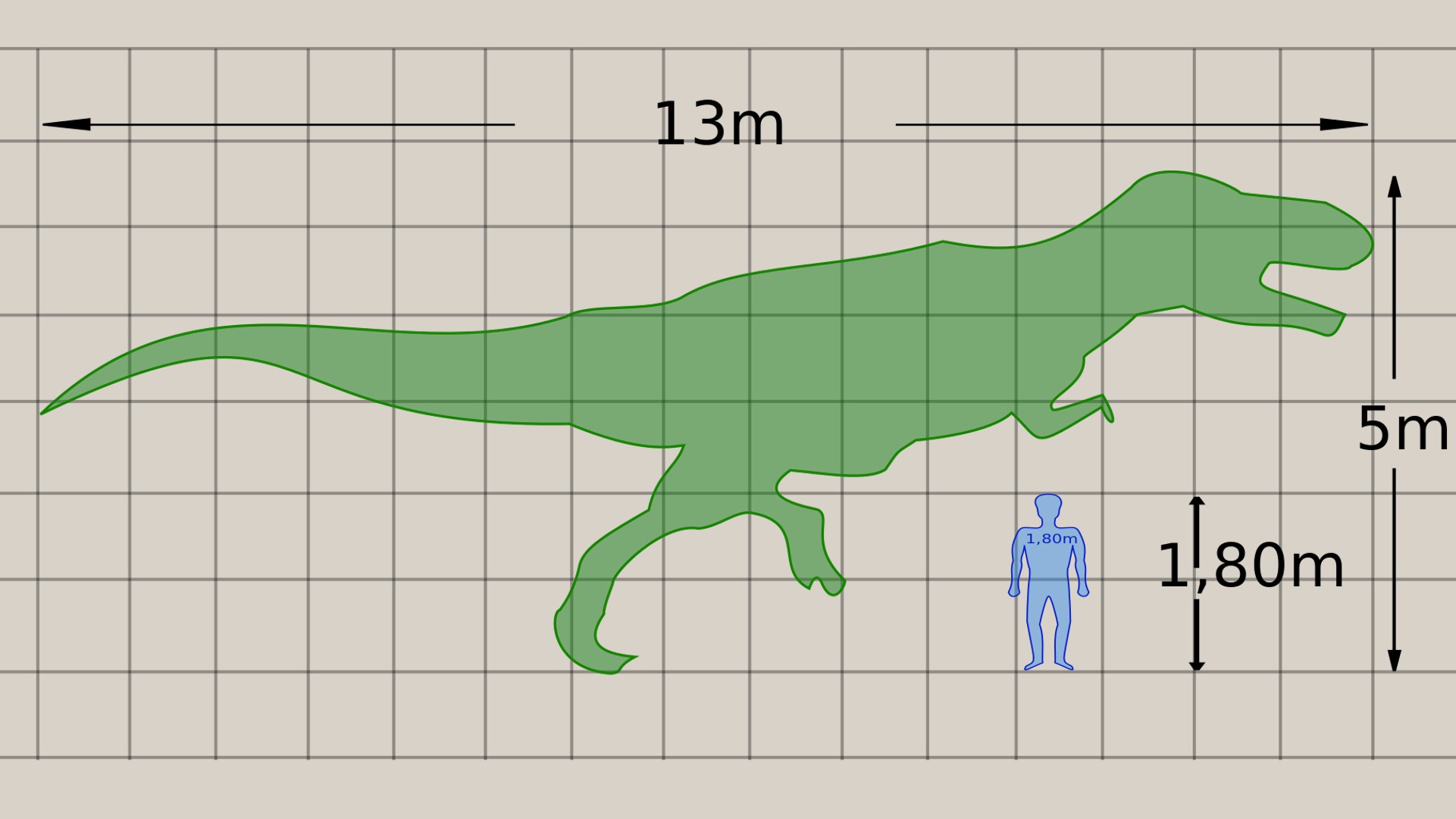 Ce dinosaure a le plus long cou jamais découvert : 6 fois celui d'une  girafe - Numerama