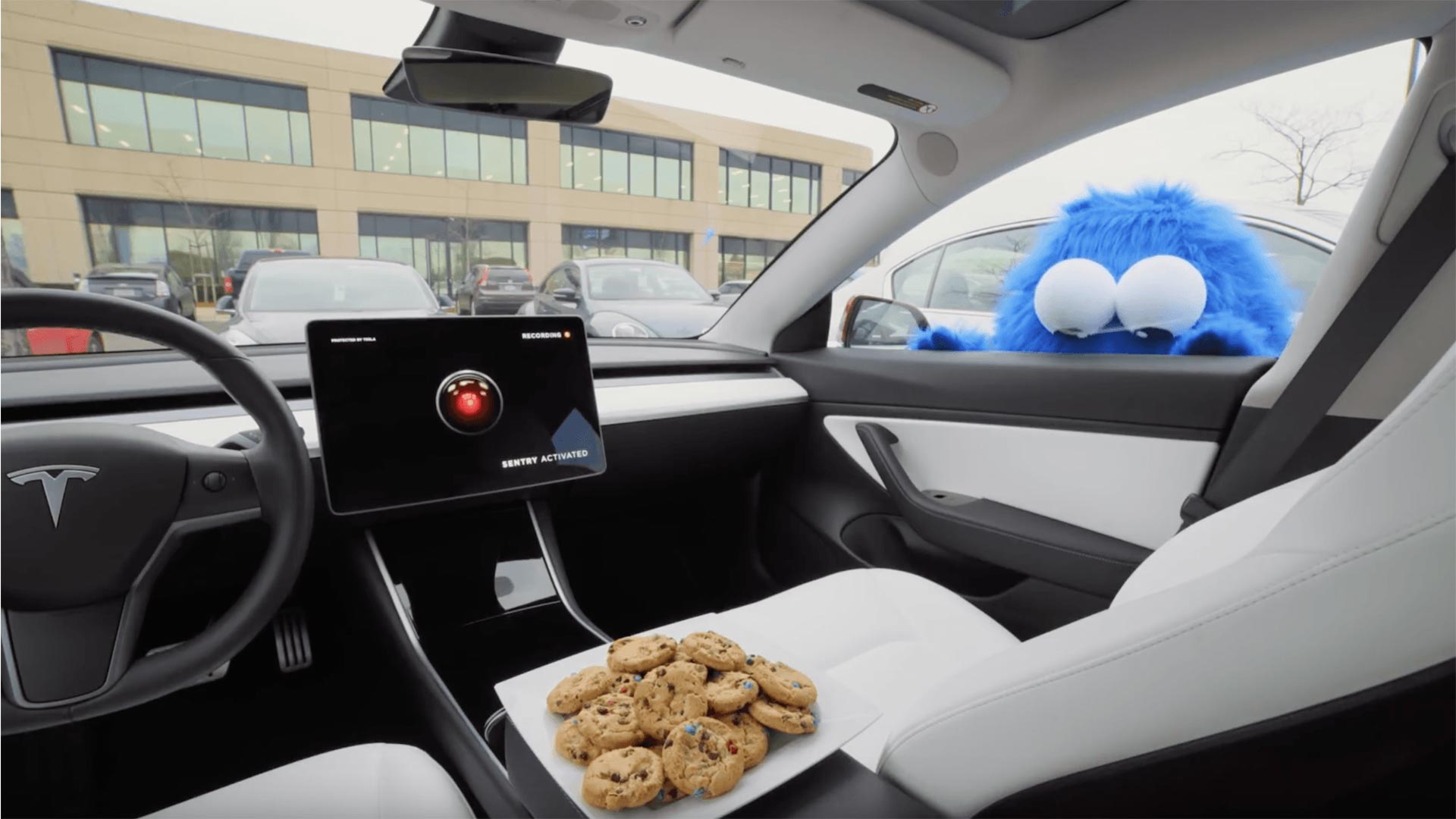 cookie tesla sentinelle