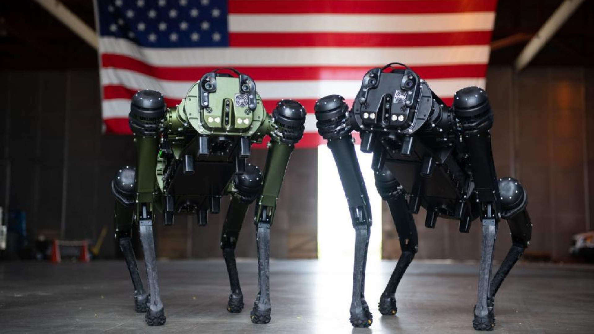 Russie : Une start-up transforme un chien-robot en arme de guerre à  l'efficacité contestée