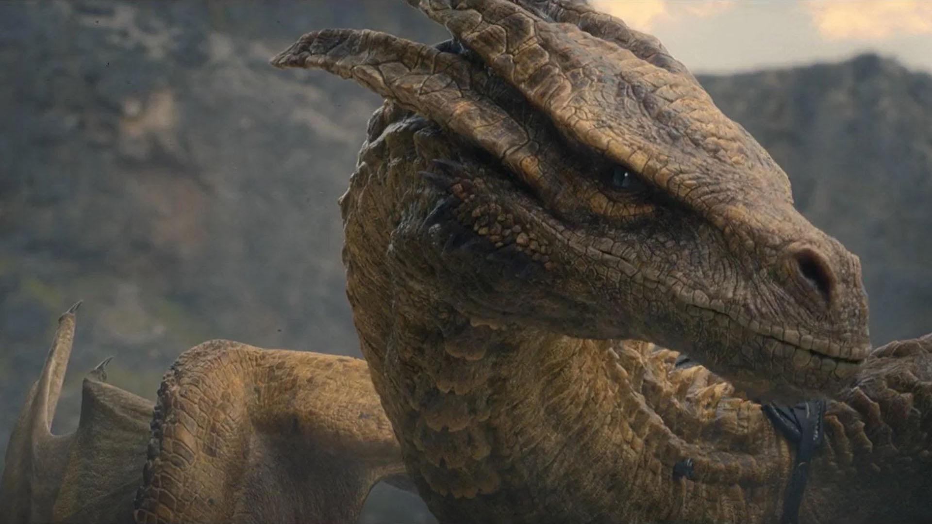 House of the Dragon combien de dragons verraton dans la saison 1