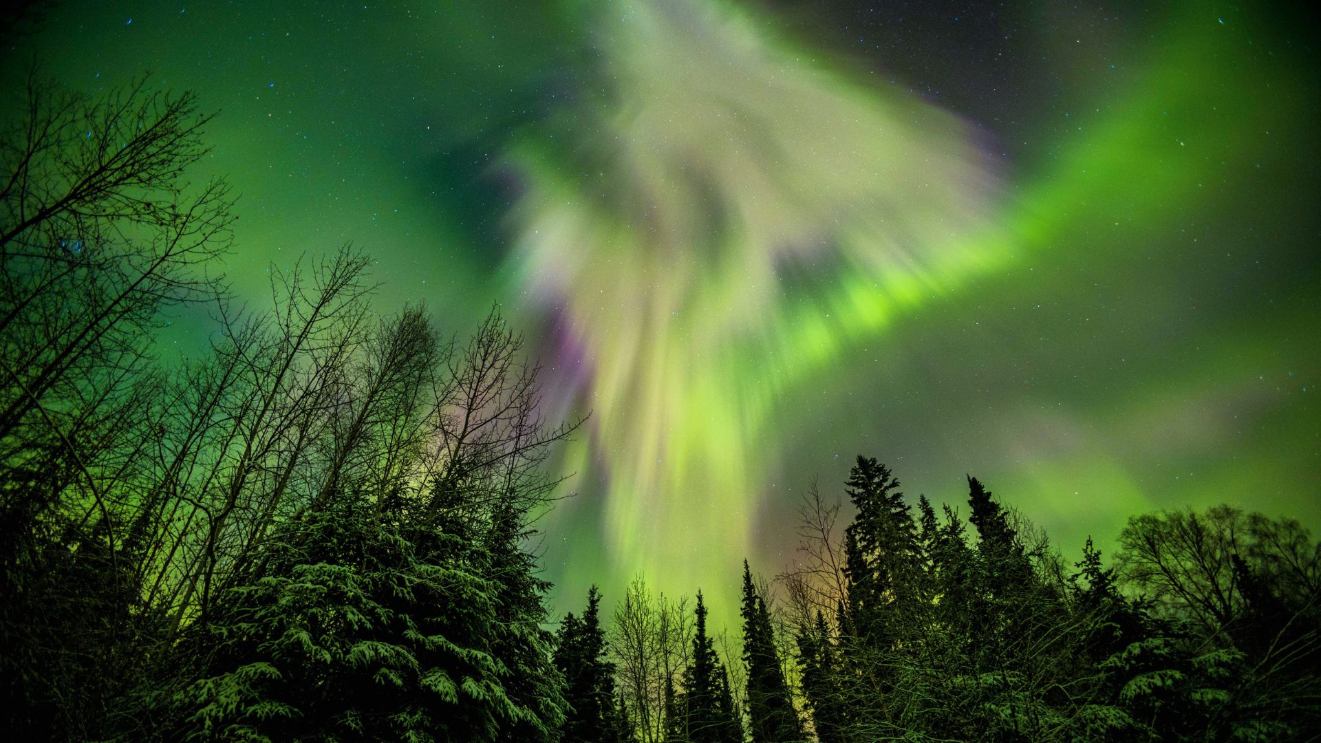 https://www.numerama.com/wp-content/uploads/2023/02/aurore-boreale-2.jpg