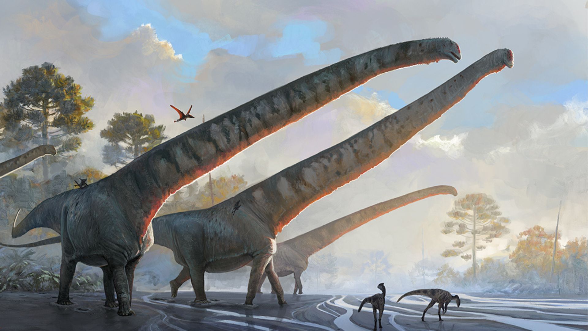 https://www.numerama.com/wp-content/uploads/2023/03/sauropode-cou-1.jpg