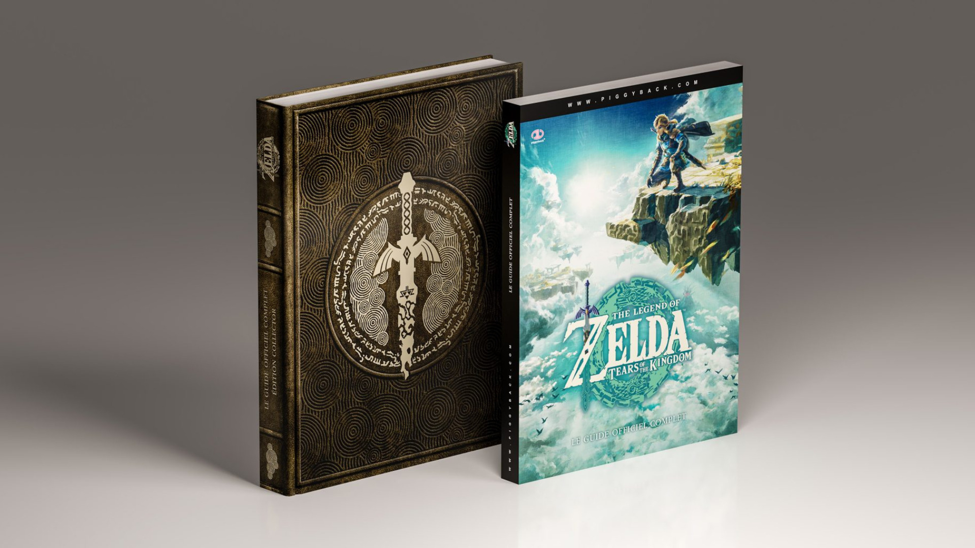 Livre Zelda