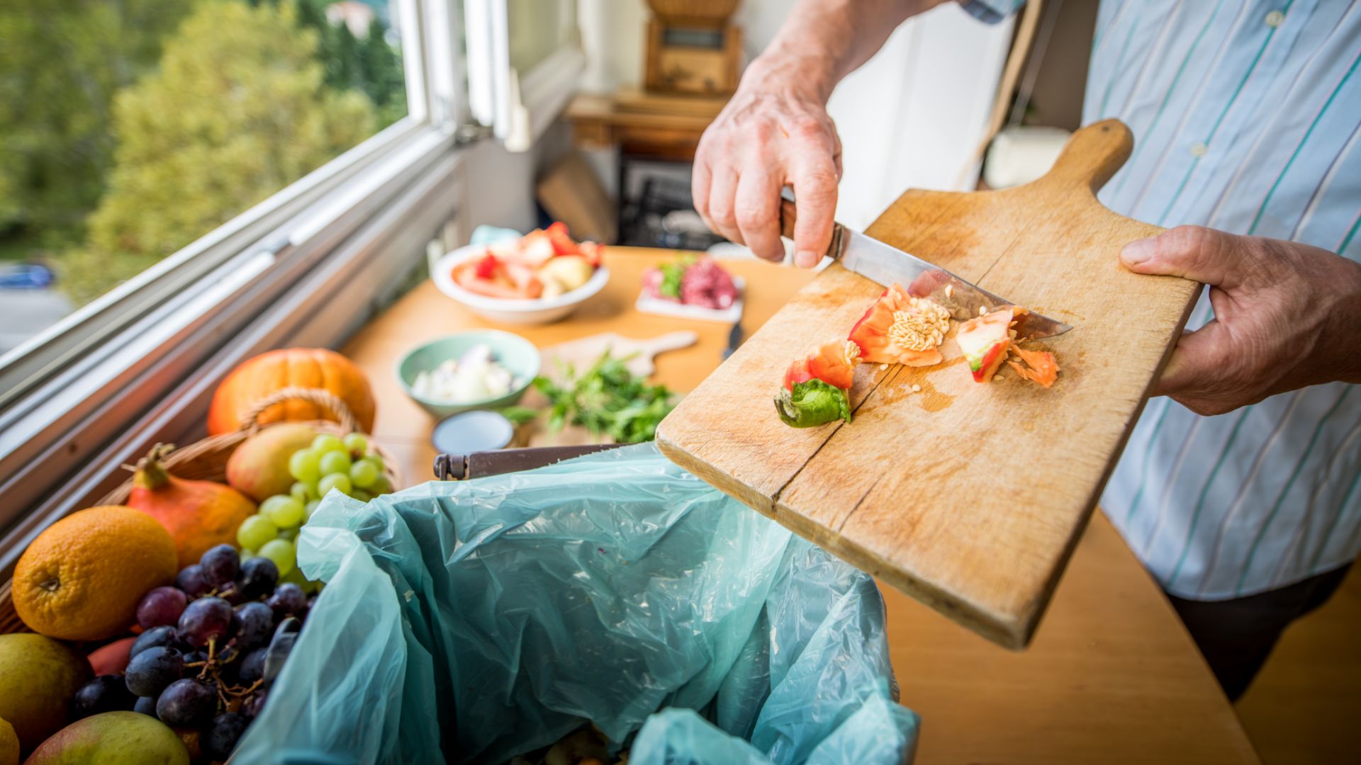 Composteur d'appartement en intérieur : compost des déchets