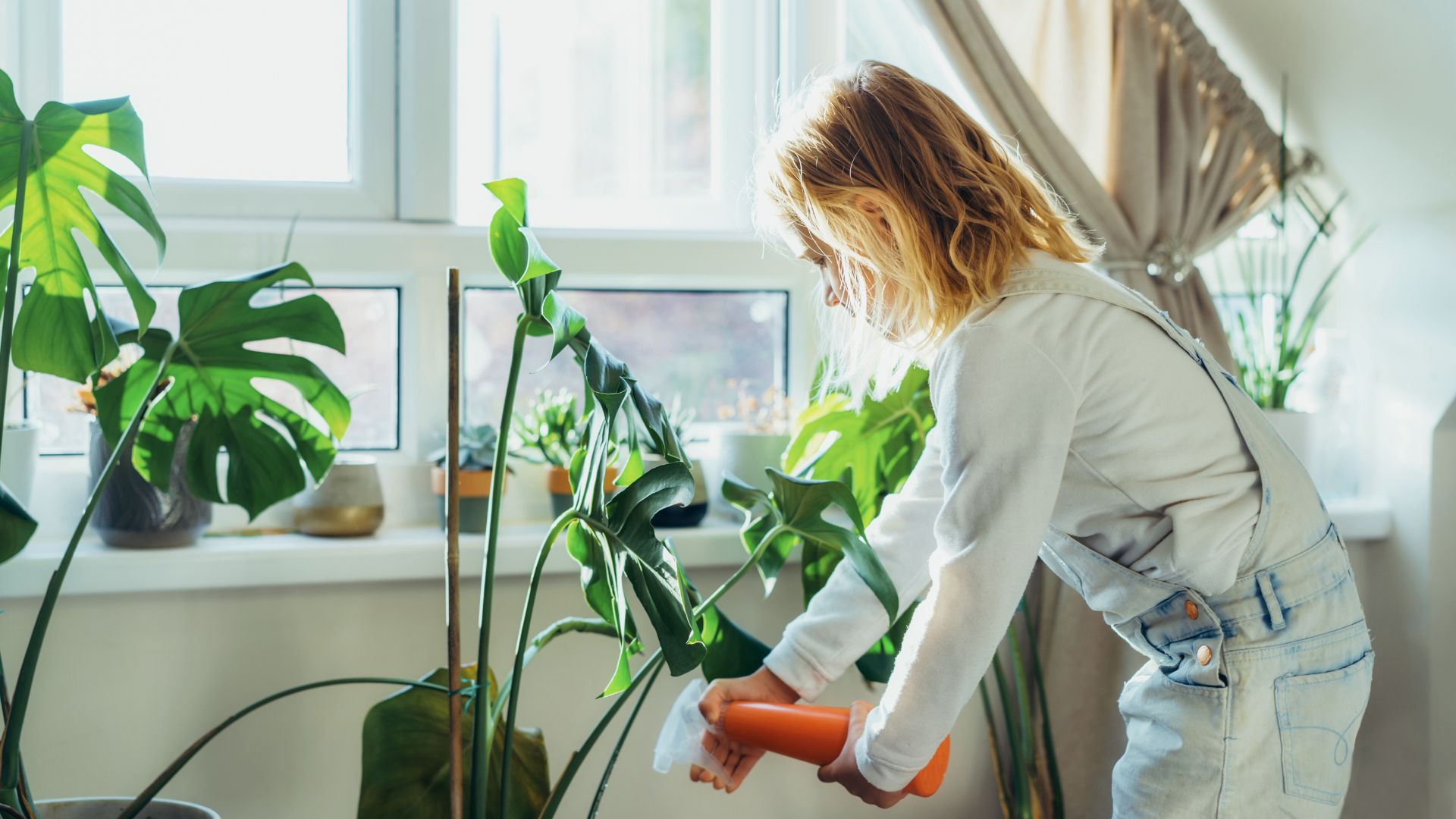 Les plantes d'intérieur, c'est bon pour la santé!