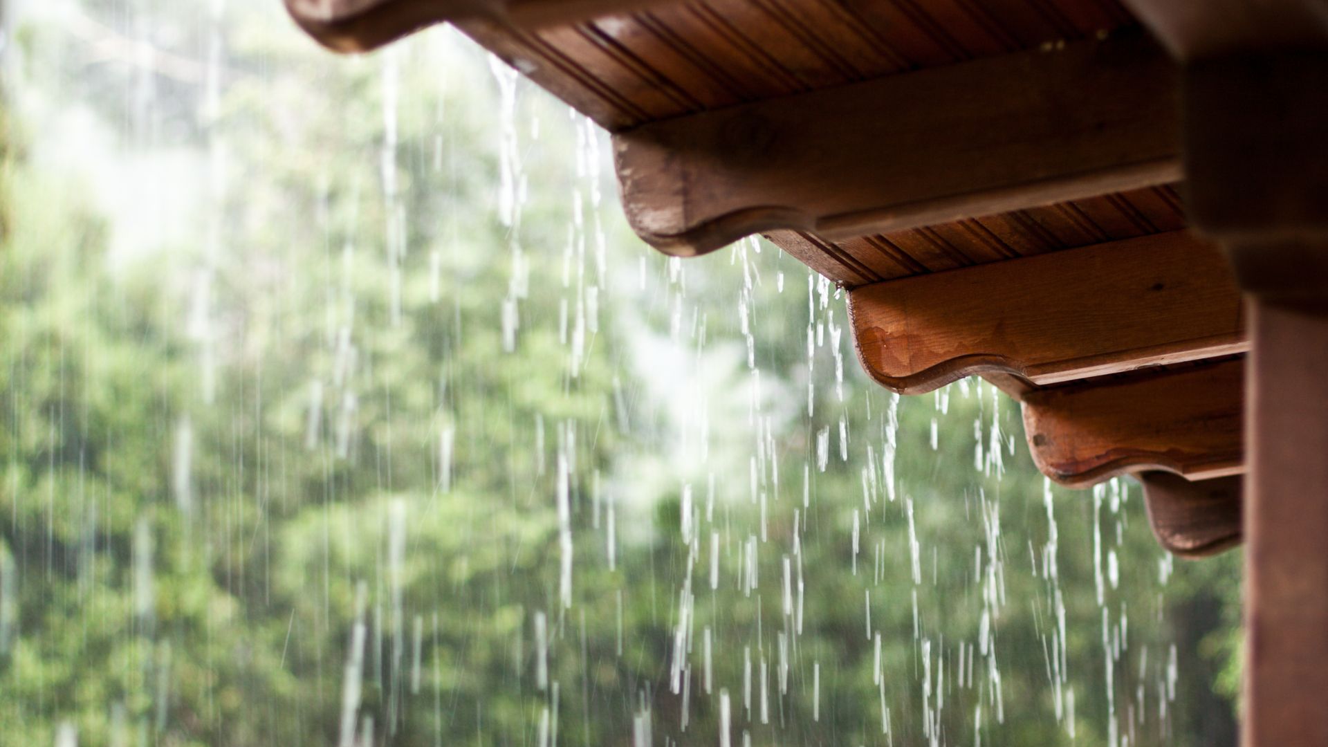 D'où vient l'odeur de la pluie ?