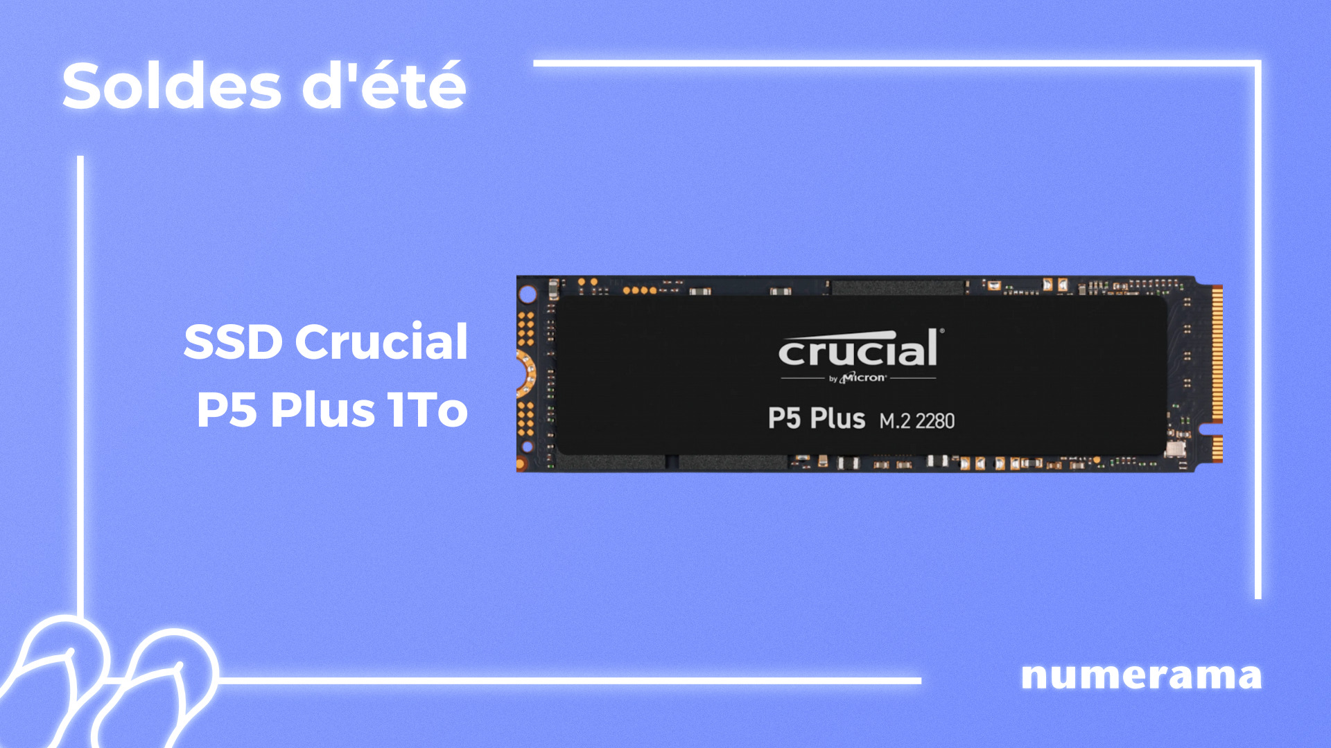 Crucial P5 PLUS M.2 - Disque SSD Crucial 