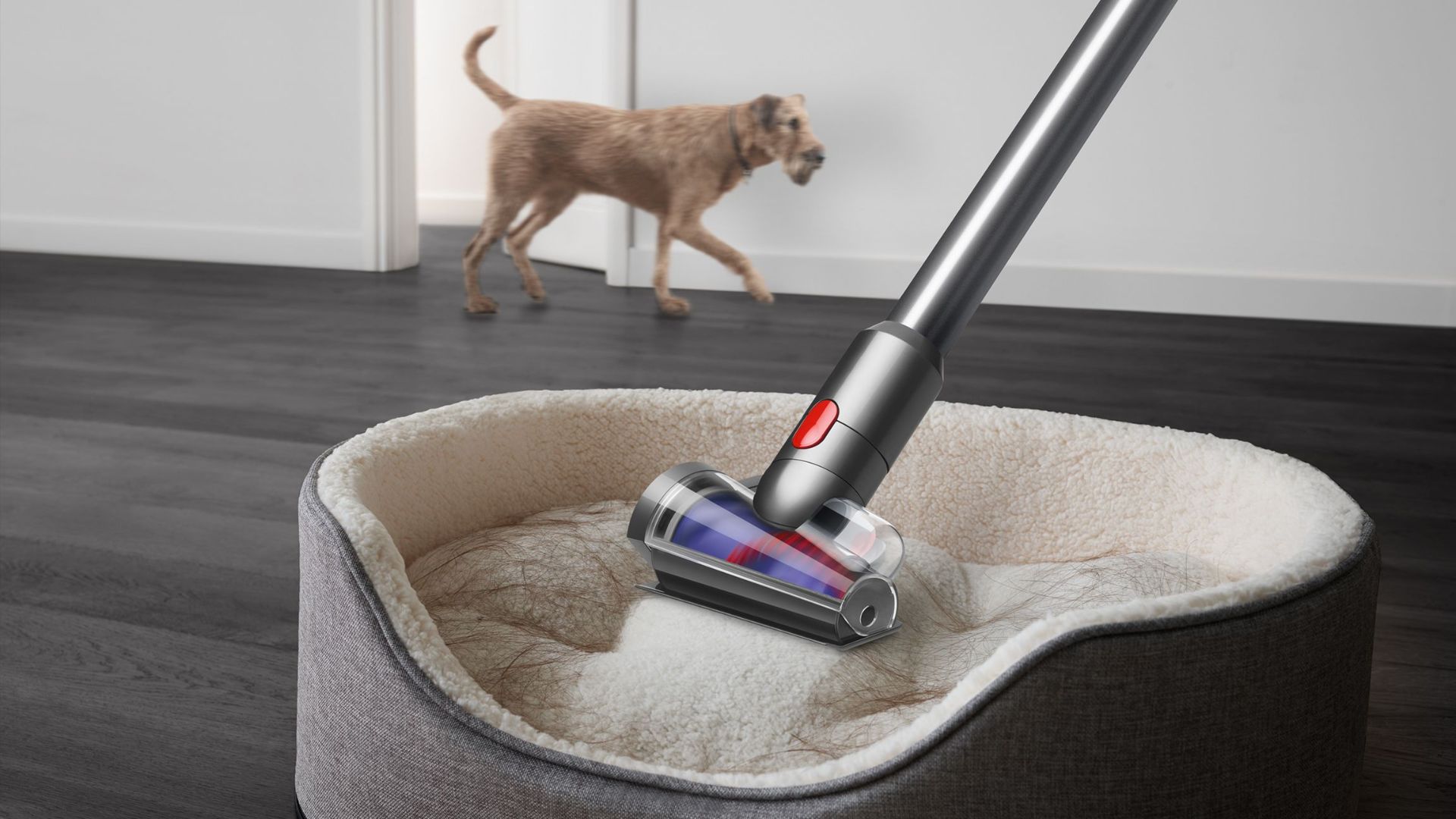 Meilleur aspirateur pour poils de chien