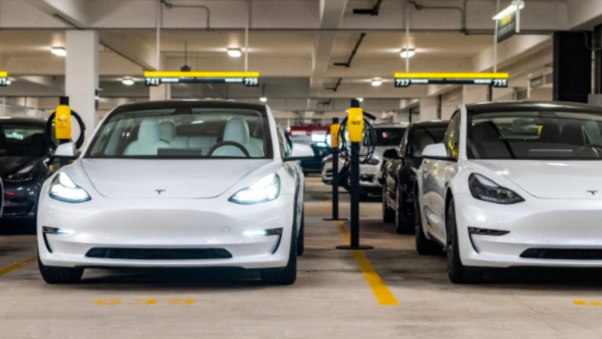 Tesla Model 3 2019: La voiture électrique « abordable » se fait attendre -  Guide Auto