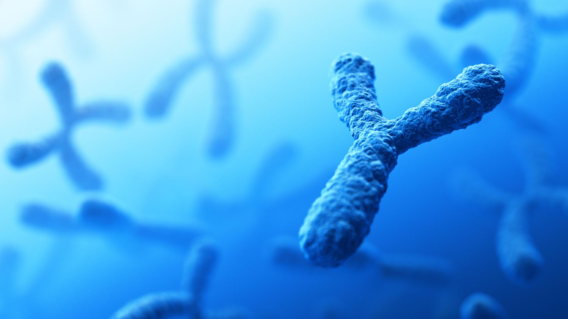 Het mysterie van het Y-chromosoom is eindelijk opgelost