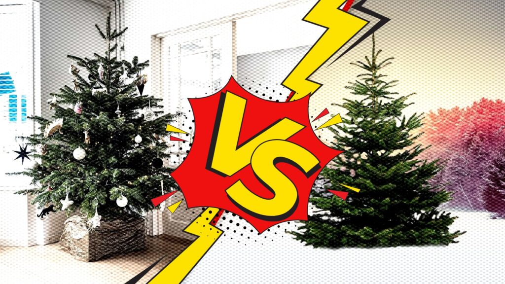 Sapin synthétique ou vrai sapin de Noël naturel : lequel est le plus écologique ?