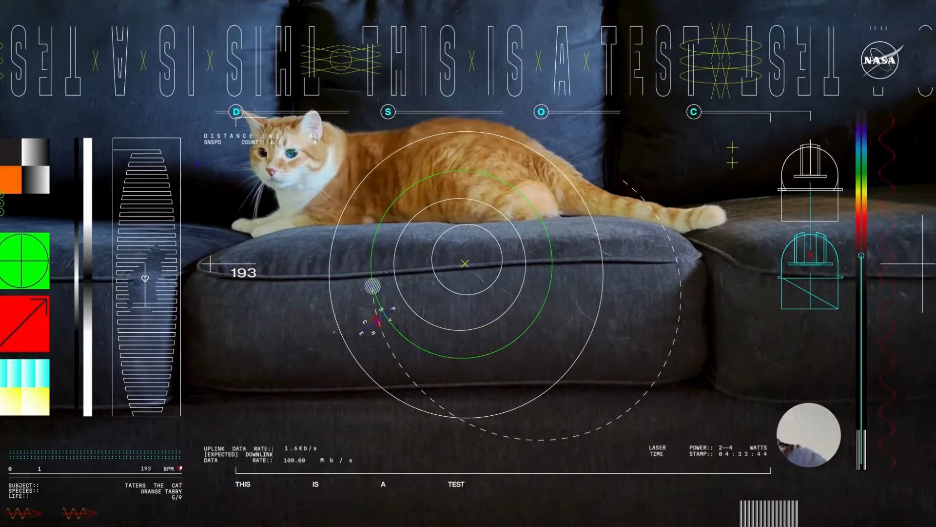 La Nasa a reçu une vidéo de chat depuis l-espace lointain