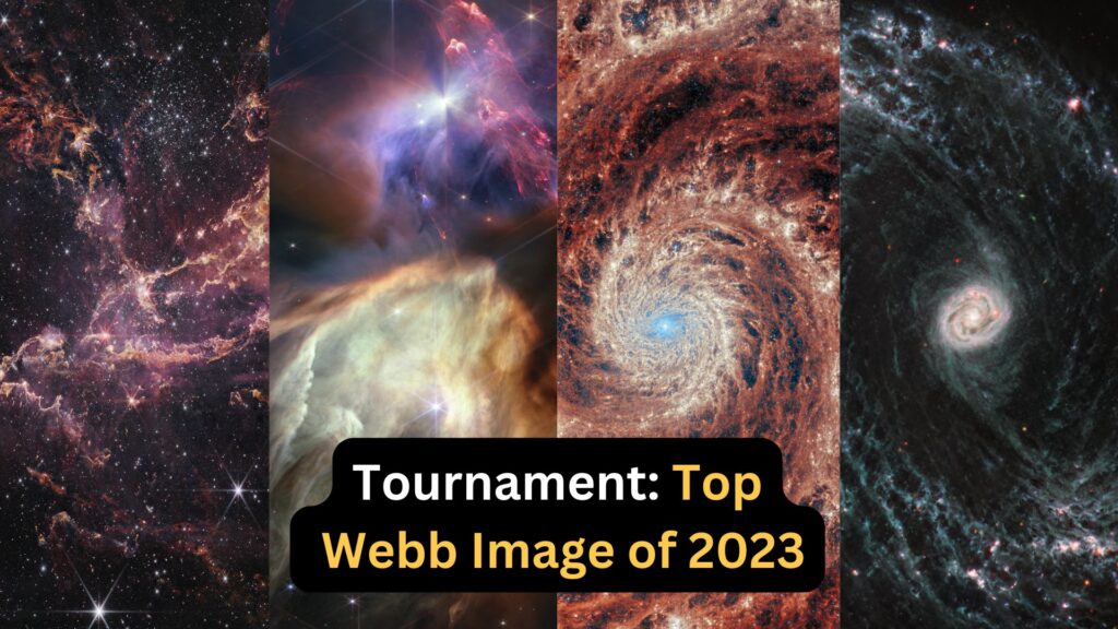 Top webb 2023