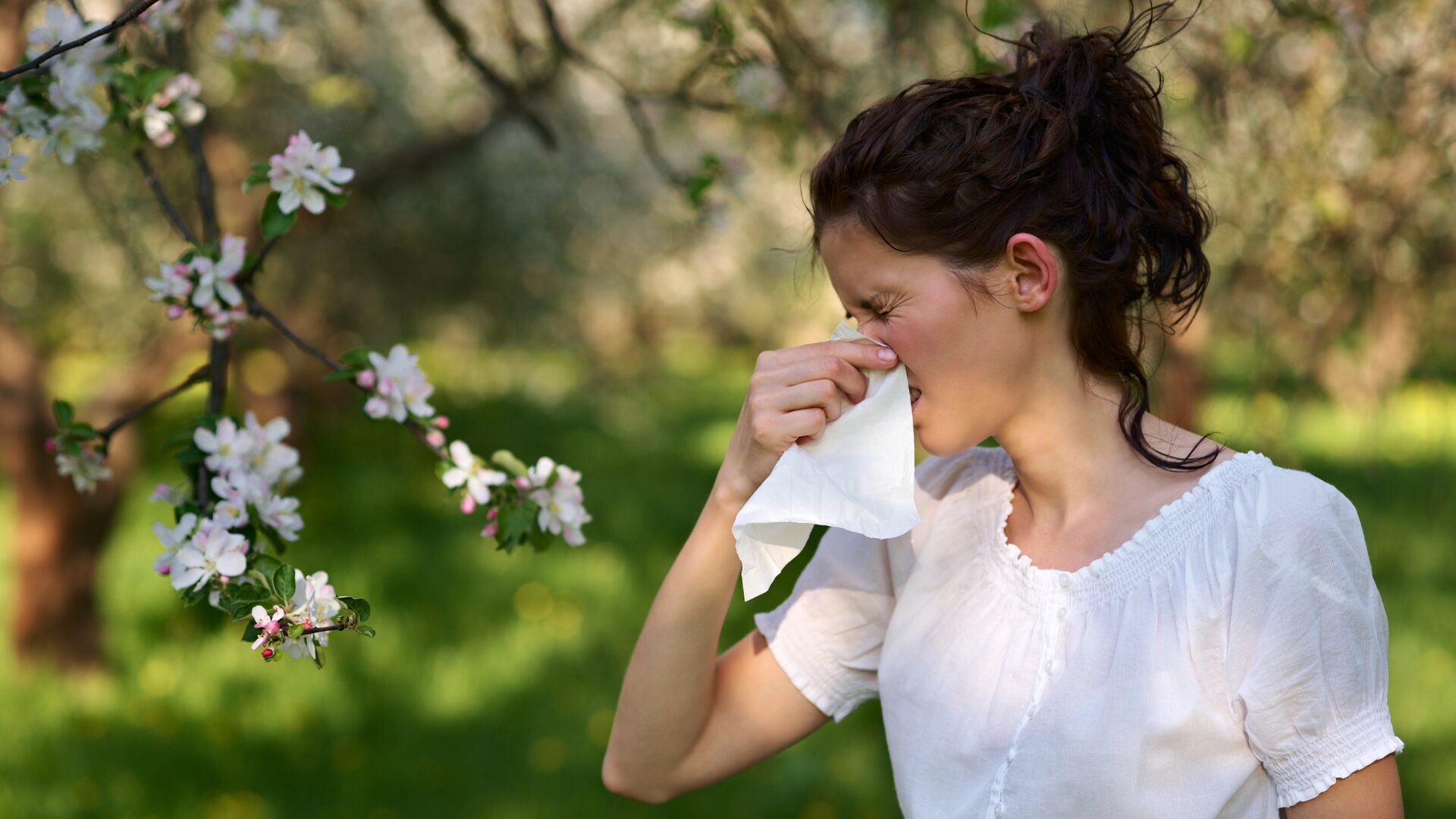 Vous êtes allergique ? Ces applications vous préviennent quand il y a du pollen