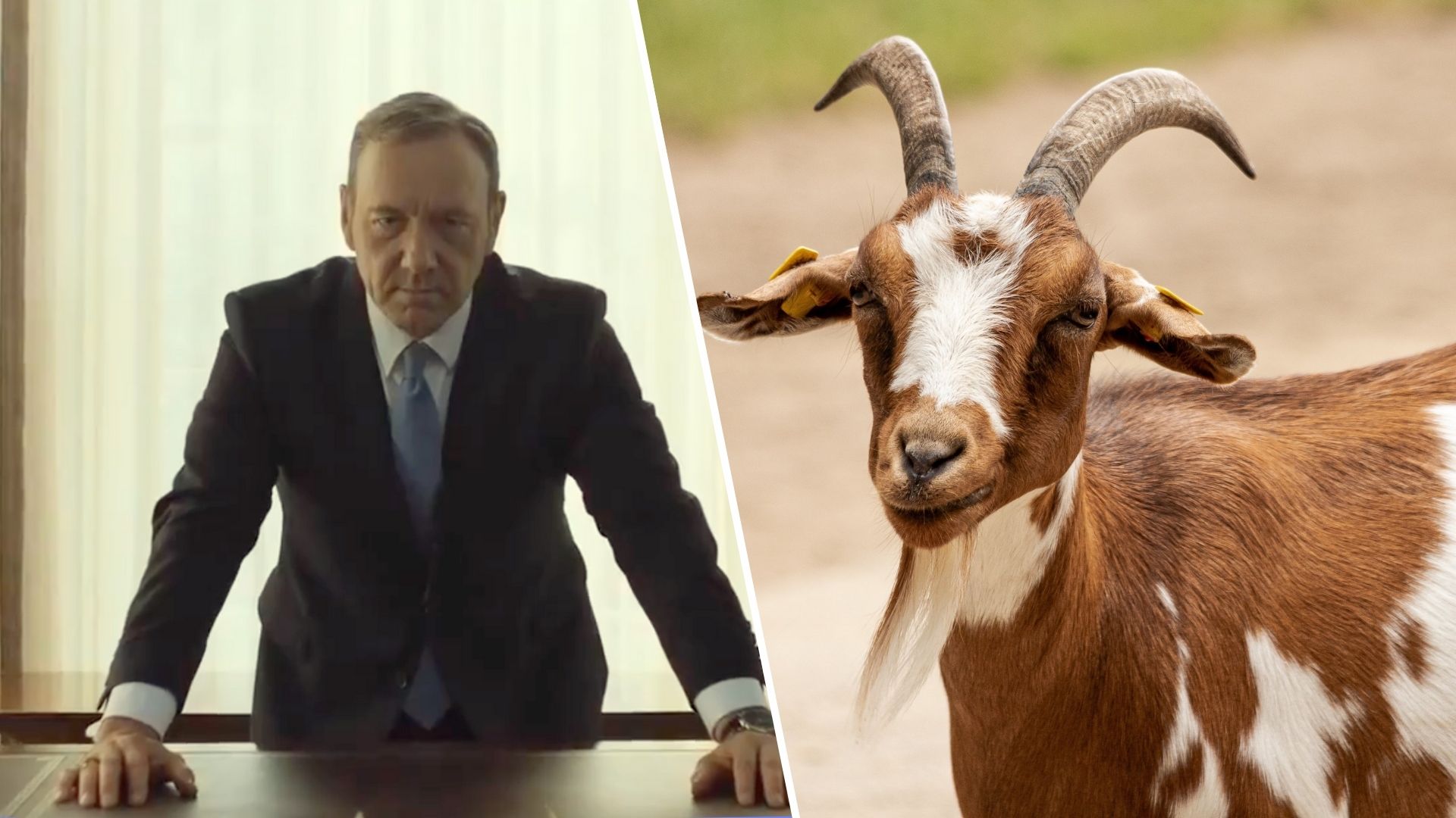 Netflix est accusé de brouiller les pistes sur son « tudum » pour effacer Kevin Spacey