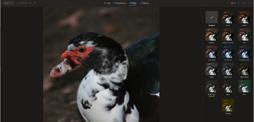 Editeur de photo dans Microsoft OneDrive