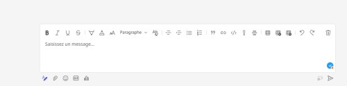 Editeur de texte dans Mivtosoft Teams