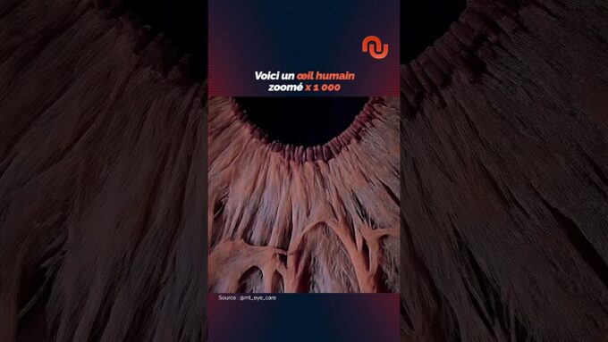 Voici ton œil zoomé 1000 fois !