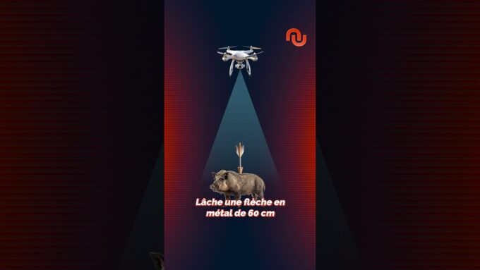 Des drones pour chasser des sangliers ?!