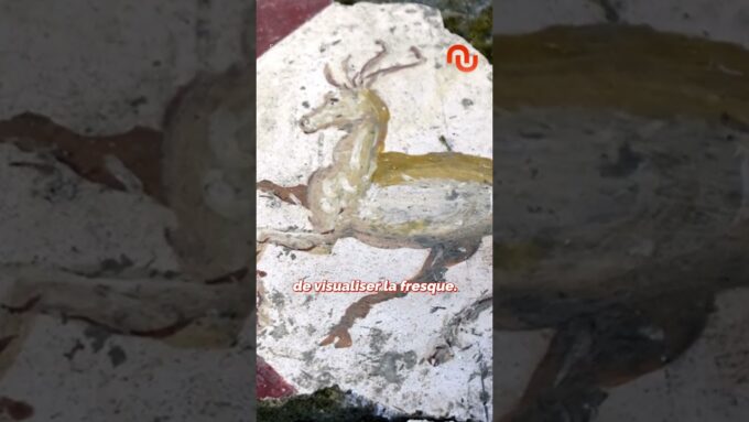 Ce robot incroyable fait gagner un temps fou aux archéologues !